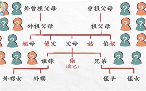 表堂怎麼分|漢語親屬系統